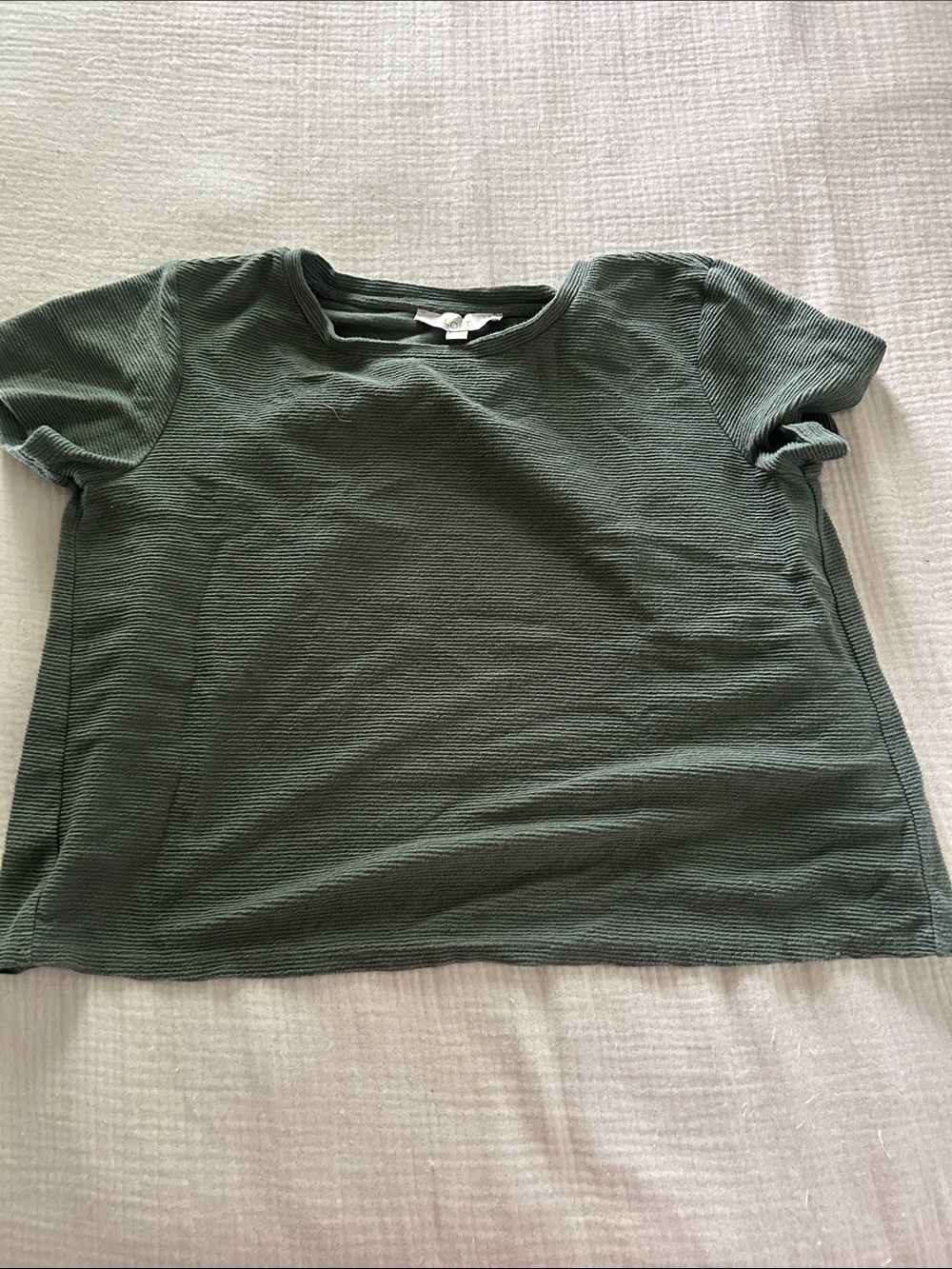 Short Sleeve Ribbed Tee in Olive Green